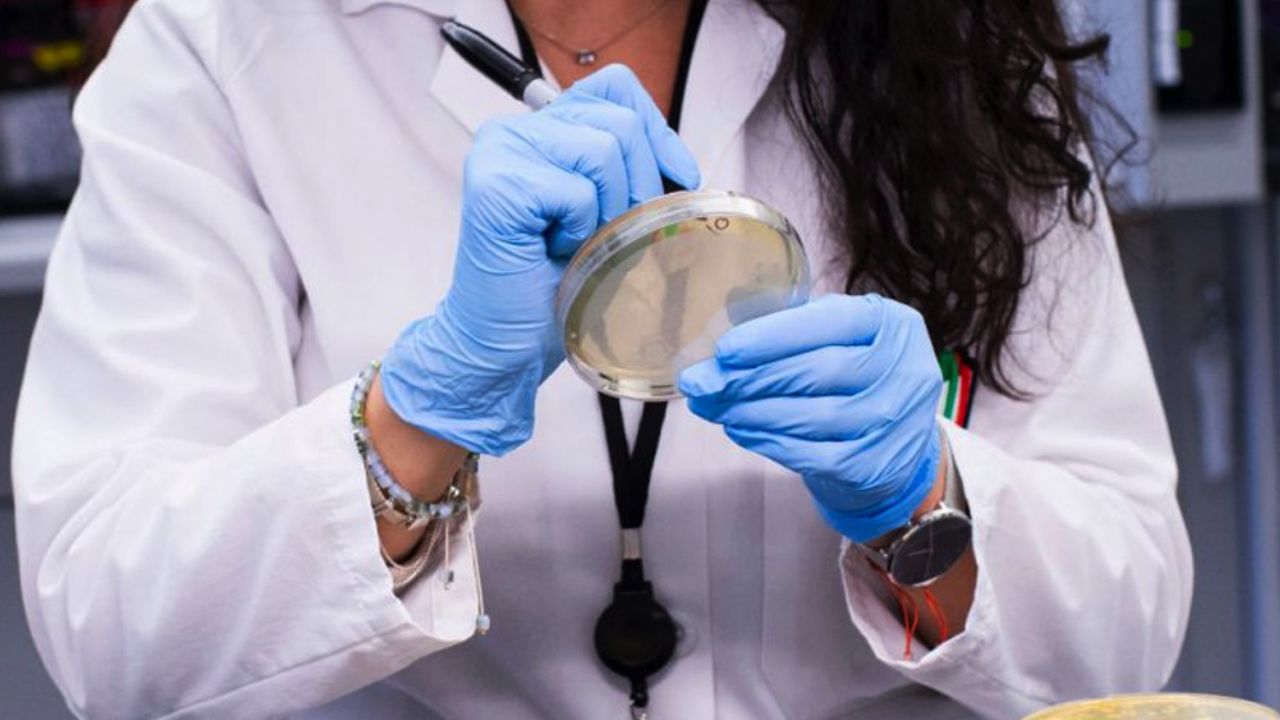 Coronavirus: Confirman primer caso local de Covid-19 en Cuba