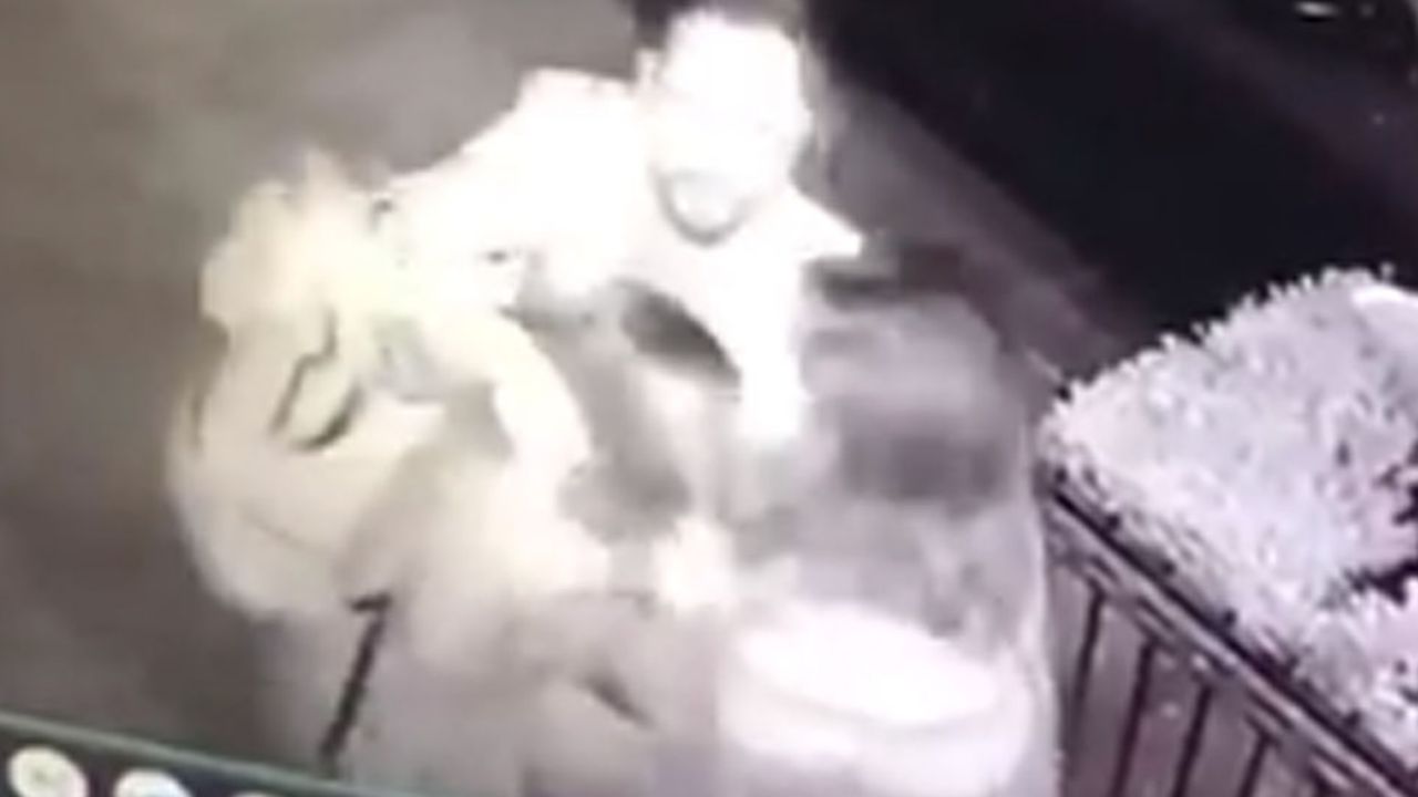 VIDEO: Editora del periódico Contra Réplica es golpeada y denuncia robo