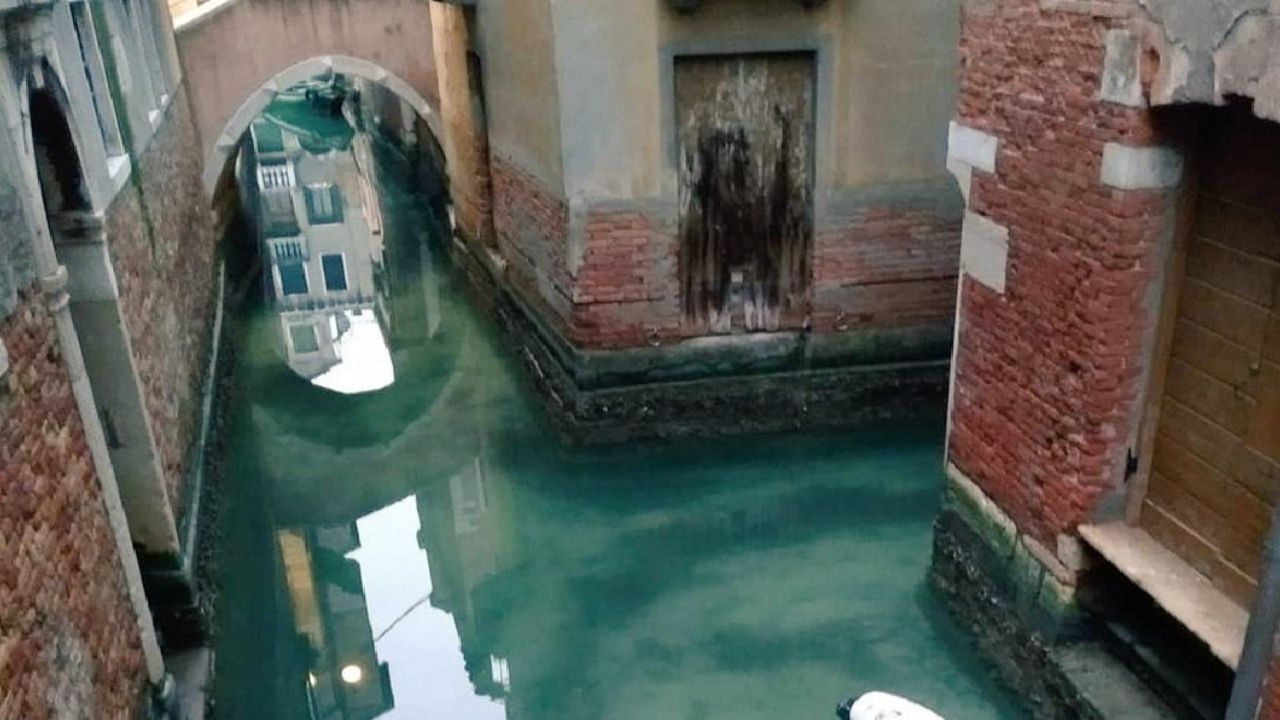 Coronavirus: De esta manera lucen los canales de Venecia en la cuarentena