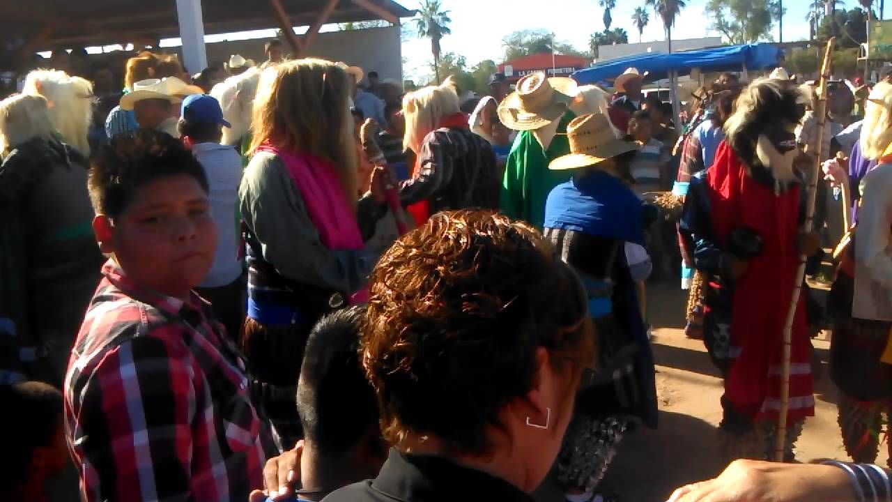 Etnia Mayo no suspenderá Contis pese al riesgo de contagio por coronavirus