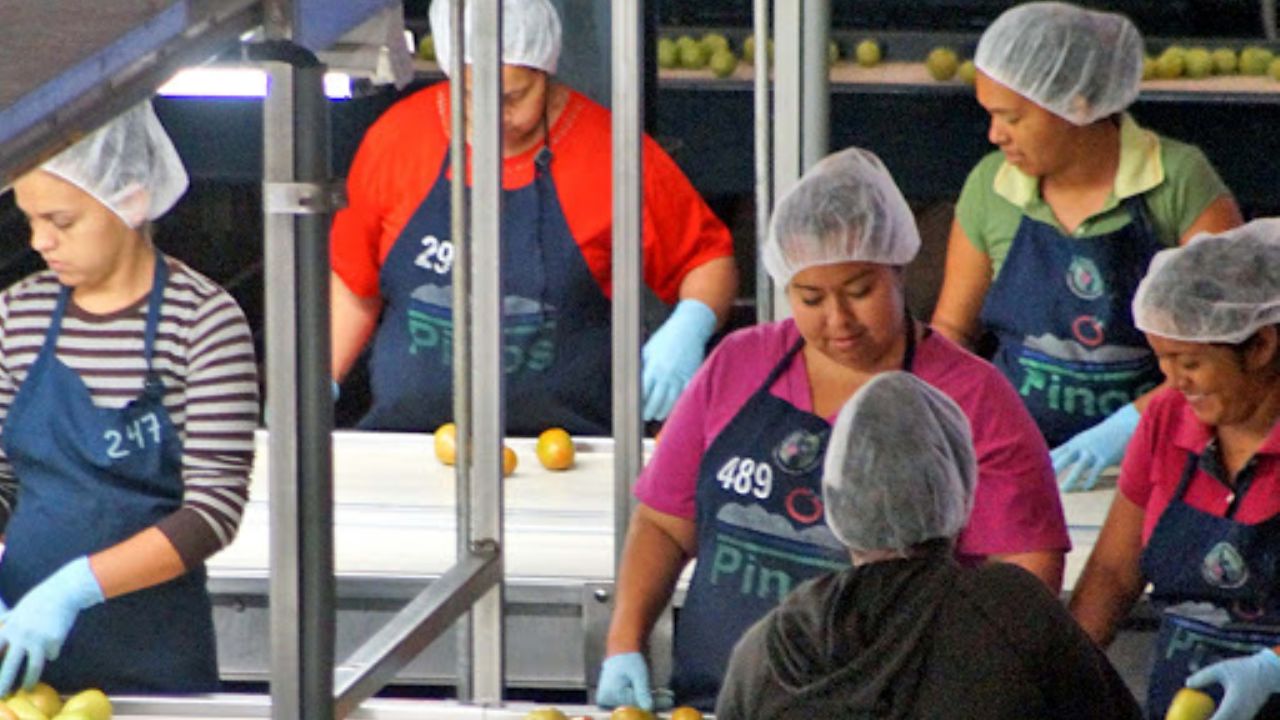 Organizaciones agrícolas de Cajeme toman medidas contra el coronavirus