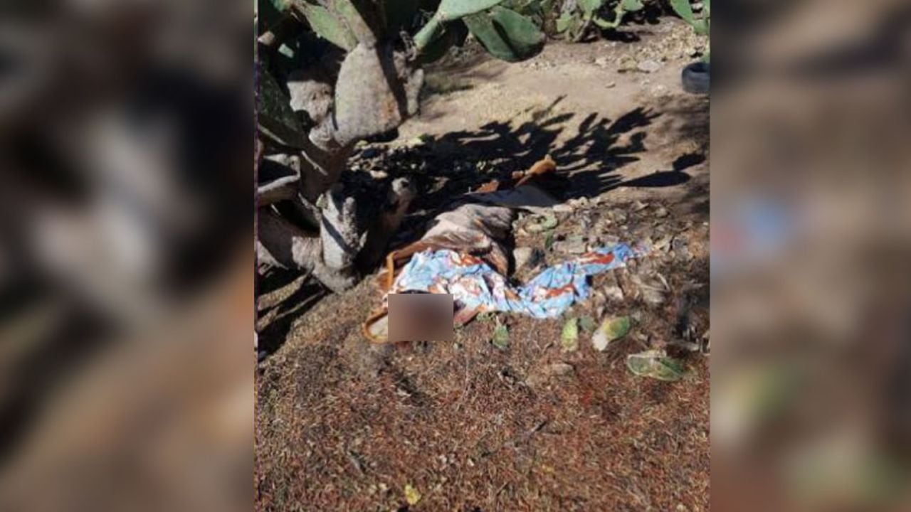 Matan a golpes a una mujer en Edomex; la abandonaron en una nopalera