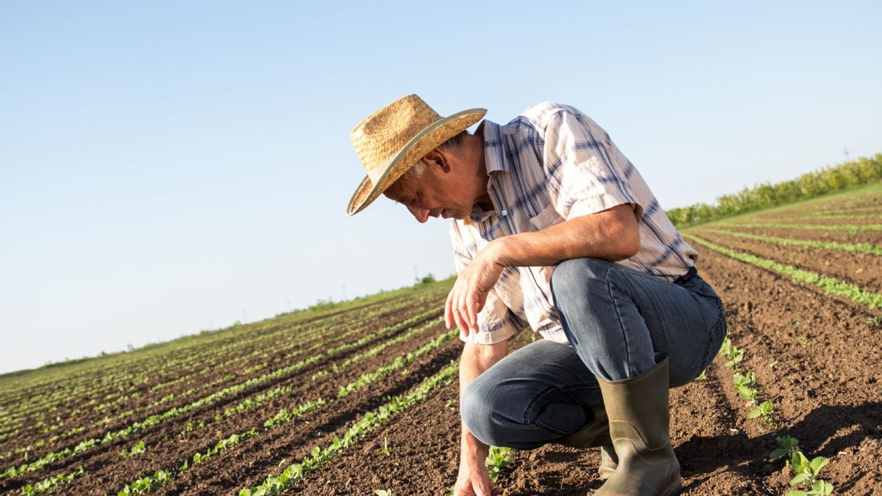 Secretaría de Campo abre programas para los productores de Mexicali