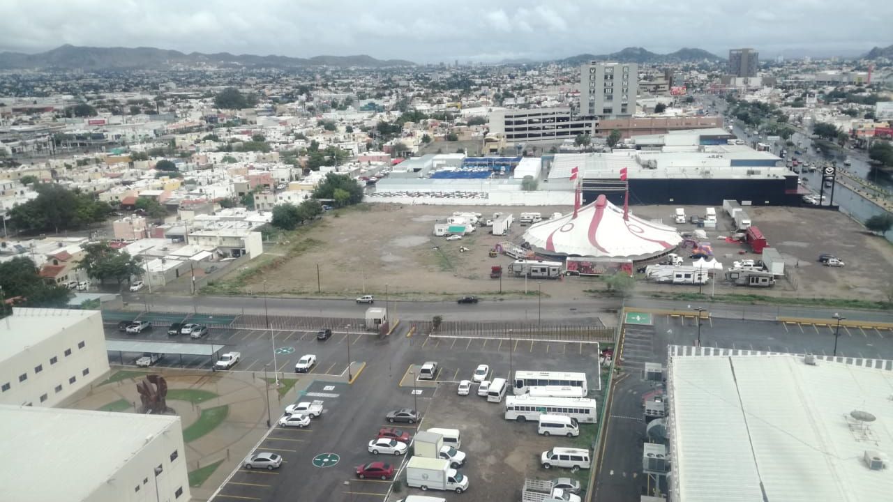 Este 19 de marzo ingresa el equinoccio de la primavera