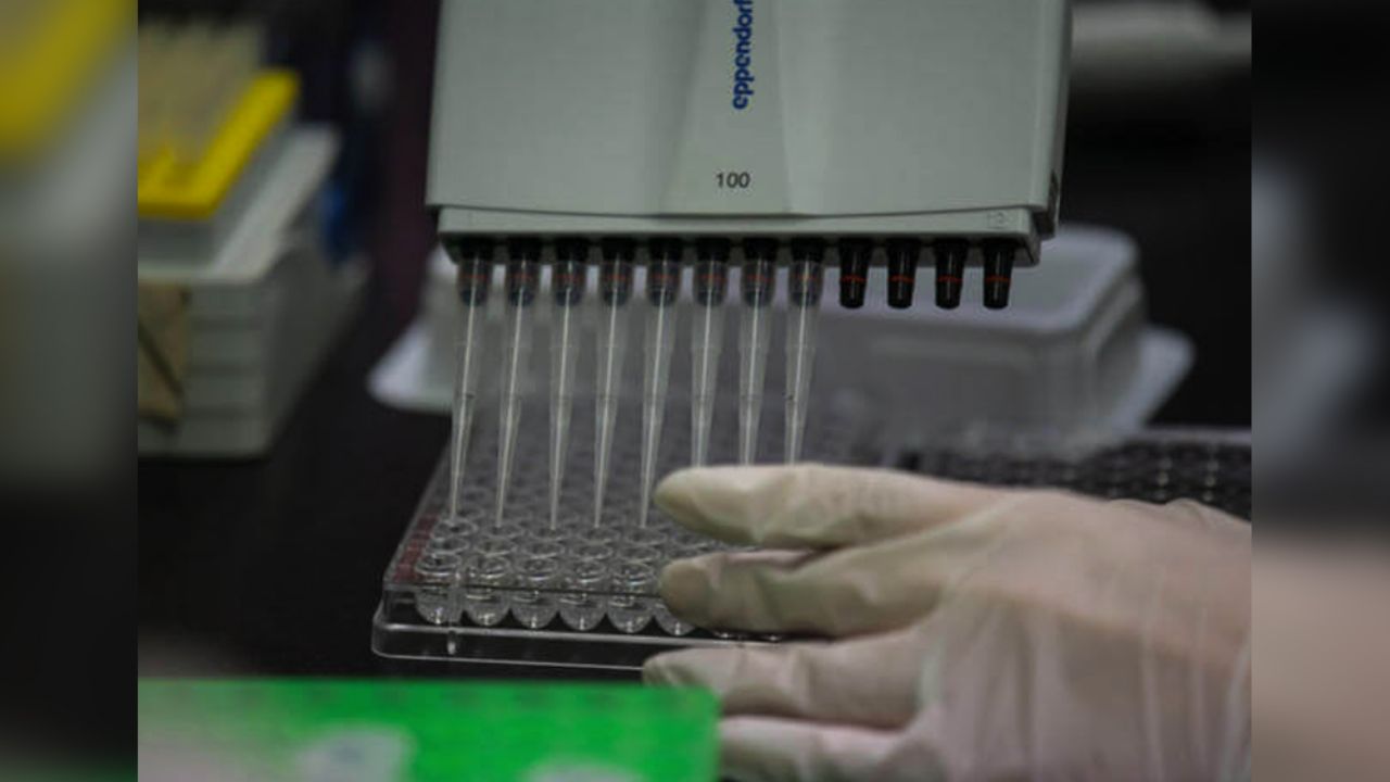 Baja California Sur reporta primera caso de Covid-19; es un hombre inglés