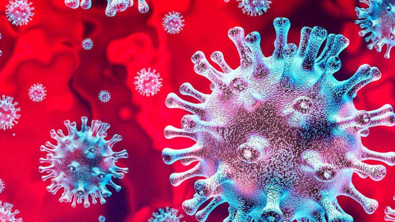 Estudio científico revela que el Covid-19 vive hasta 5 semanas en pacientes