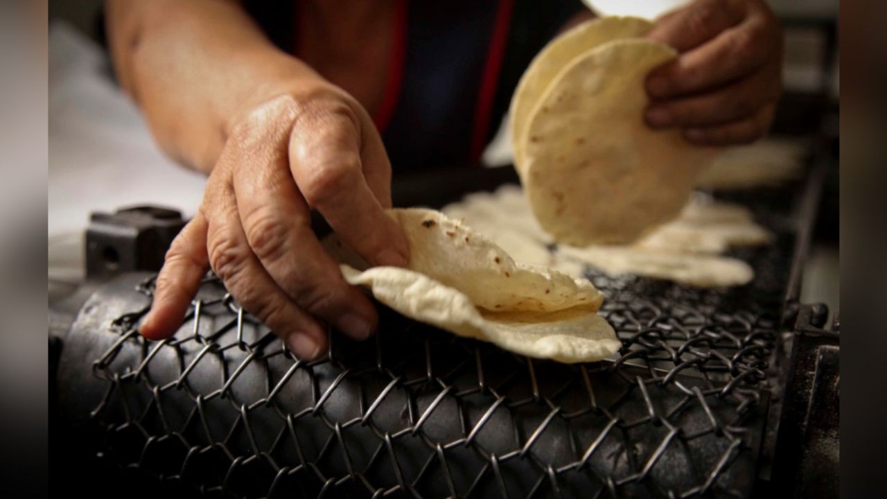 Coronavirus afecta hasta la tortilla; se vendería en 20 pesos el kilo
