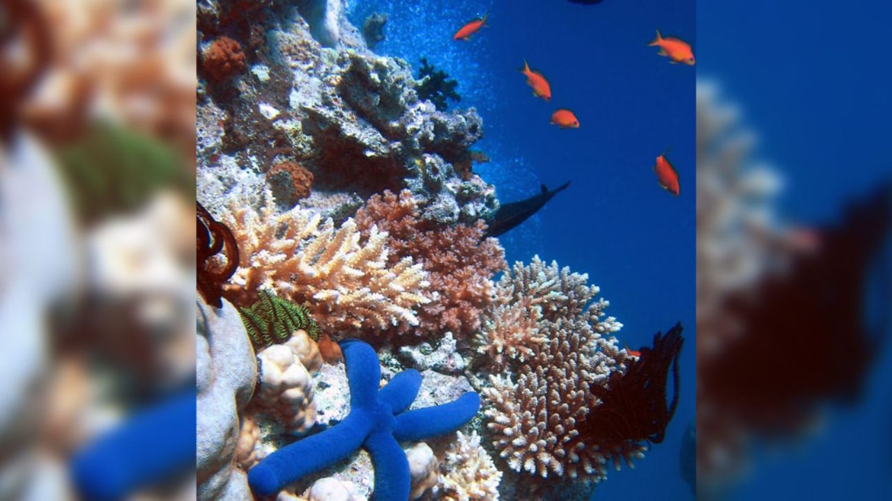 VIRAL: Internautas se ‘rompen’ la cabeza por descifrar este nuevo reto