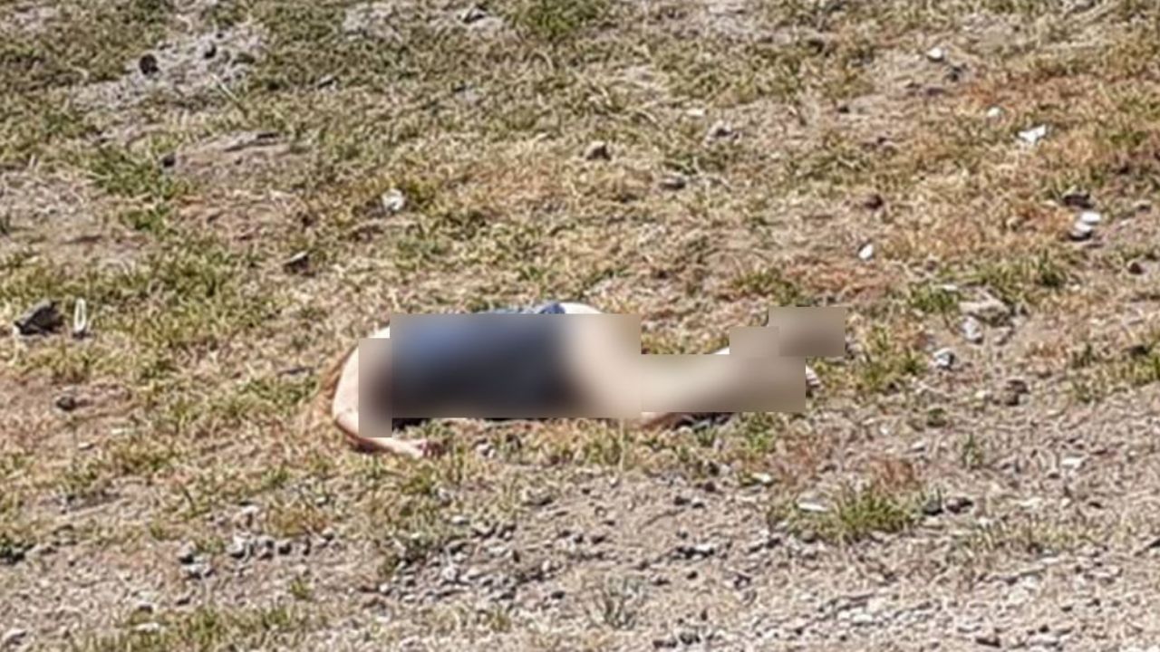 Abandonan muerta a mujer violada y torturada en paraje del Edomex