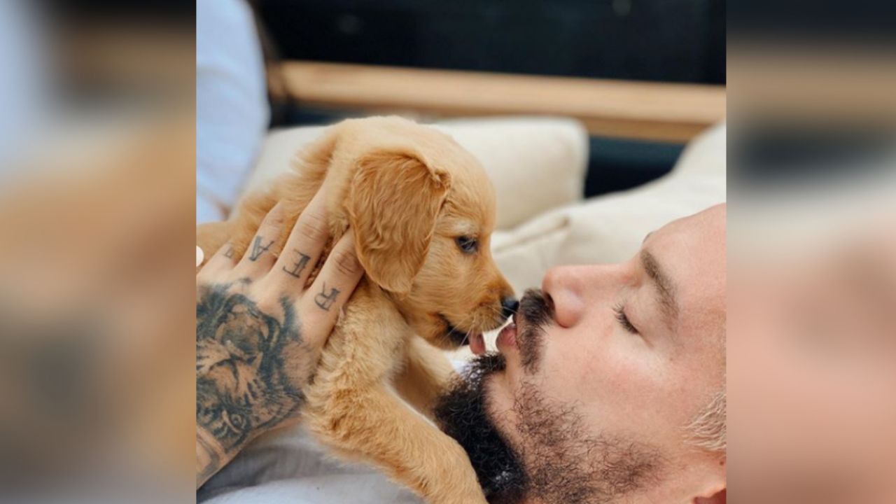 “Me chupó”: J Balvin cautiva Instagram y TikTok junto a su perrita Felicidad