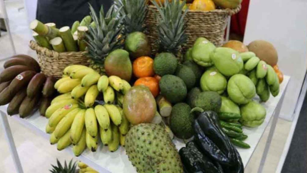 Por pandemia de Covid-19, ONU prevé una crisis alimentaria