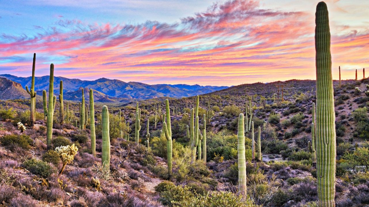 ¡Toma nota! Este es el pronóstico del clima en Sonora para hoy, viernes 14 de mayo
