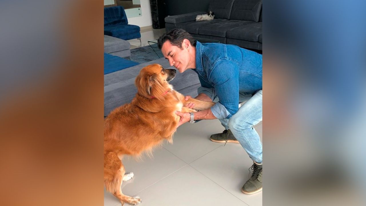 “Ternurita”: David Zepeda ‘endulza’ Instagram al dormir con sus mascotas