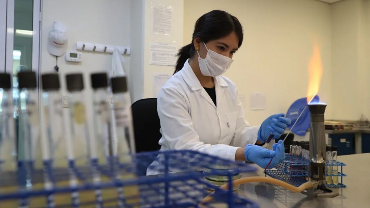 Coronavirus en aumento: Sonora confirma un caso nuevo en mujer de 62 años