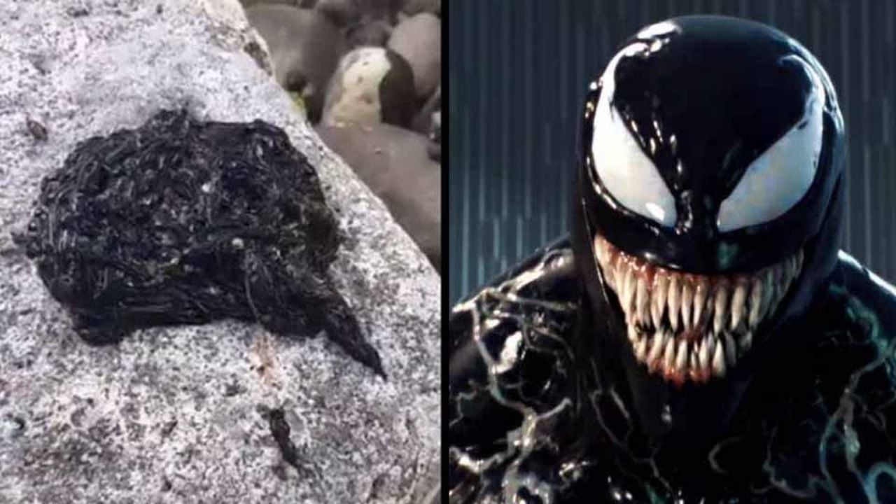 Extraña criatura parecida al simbionte de Venom causa terror en redes sociales
