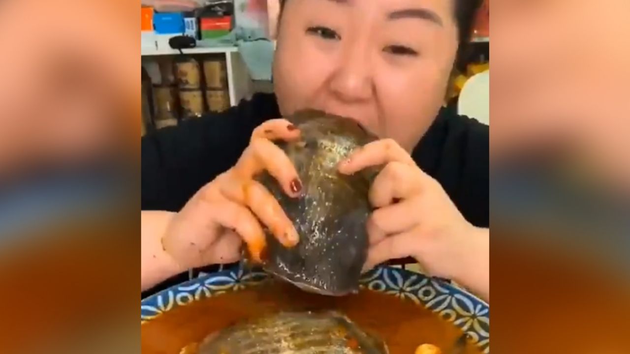 VIDEO VIRAL: En plena pandemia, mujer devora tortuga entera y enfurece a usuarios