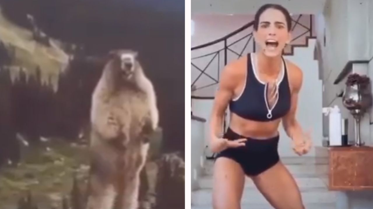 VIRAL: Bárbara de Regil se vuelve a poner intensa y la humillan con memes