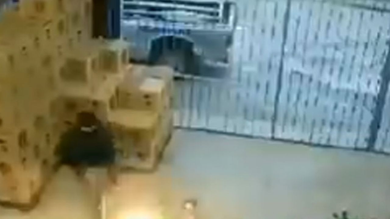 VIDEO: Filtran imágenes de la masacre dentro de cervecería en Tamaulipas