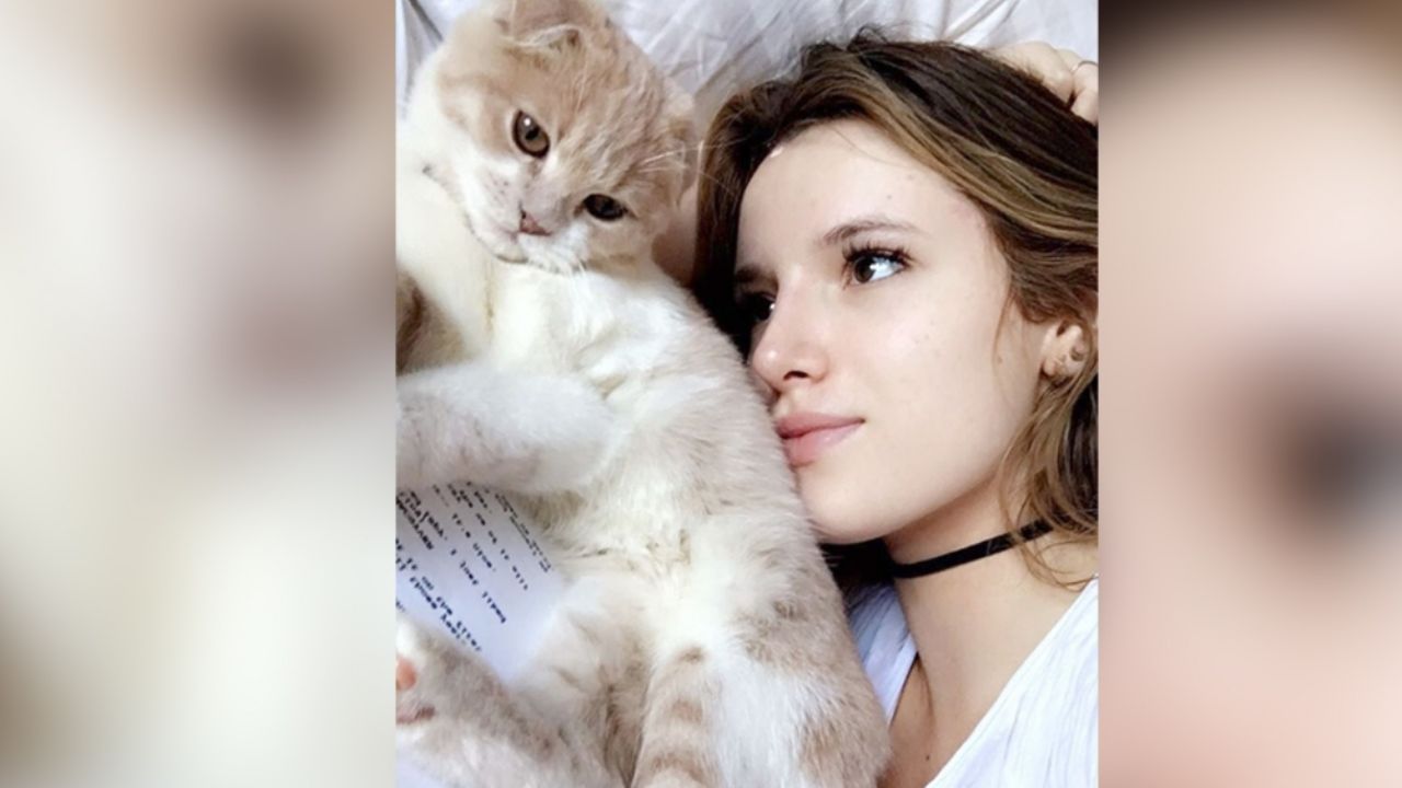 ¡Asquerosa! Bella Thorne comparte la comida con su gato, en el mismo plato