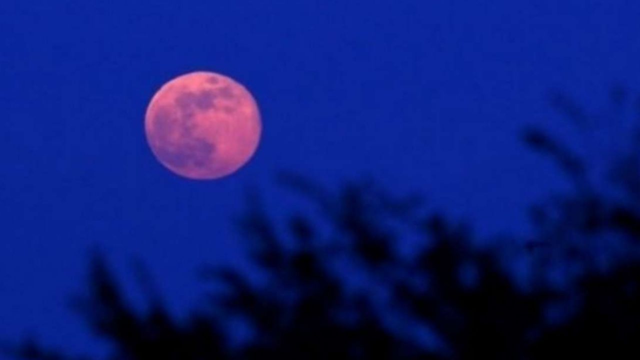 Usuarios comparten cómo se vivió la Luna Rosa alrededor del mundo