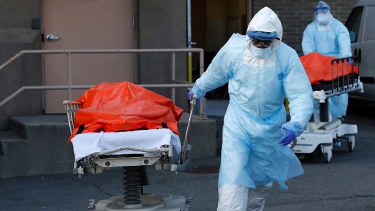 Covid-19 en EU: Nueva York suma 783 nuevas muertes por coronavirus