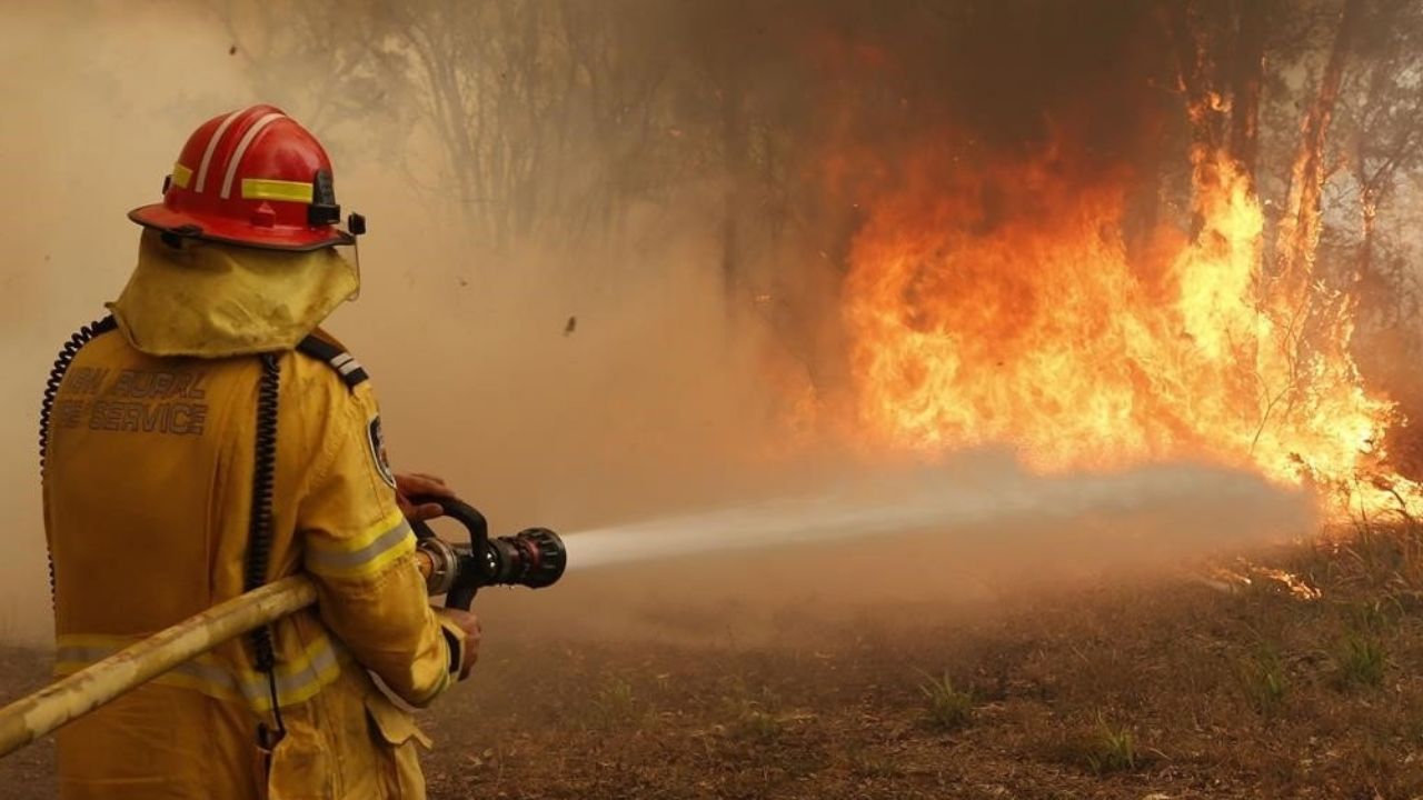 Se registran seis personas sin vida en un incendio forestal en Oaxaca