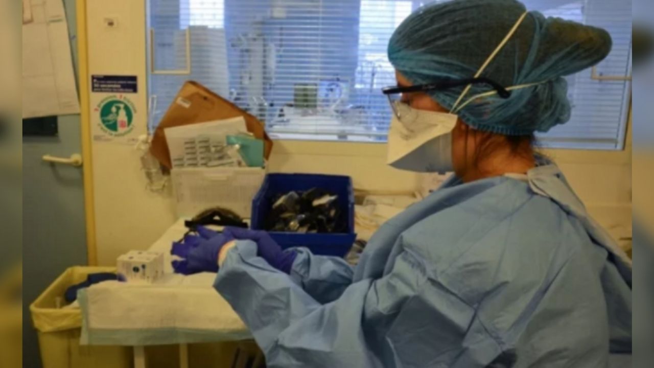 Coronavirus en México: Sinaloa ya suma 26 muertes por Covid-19