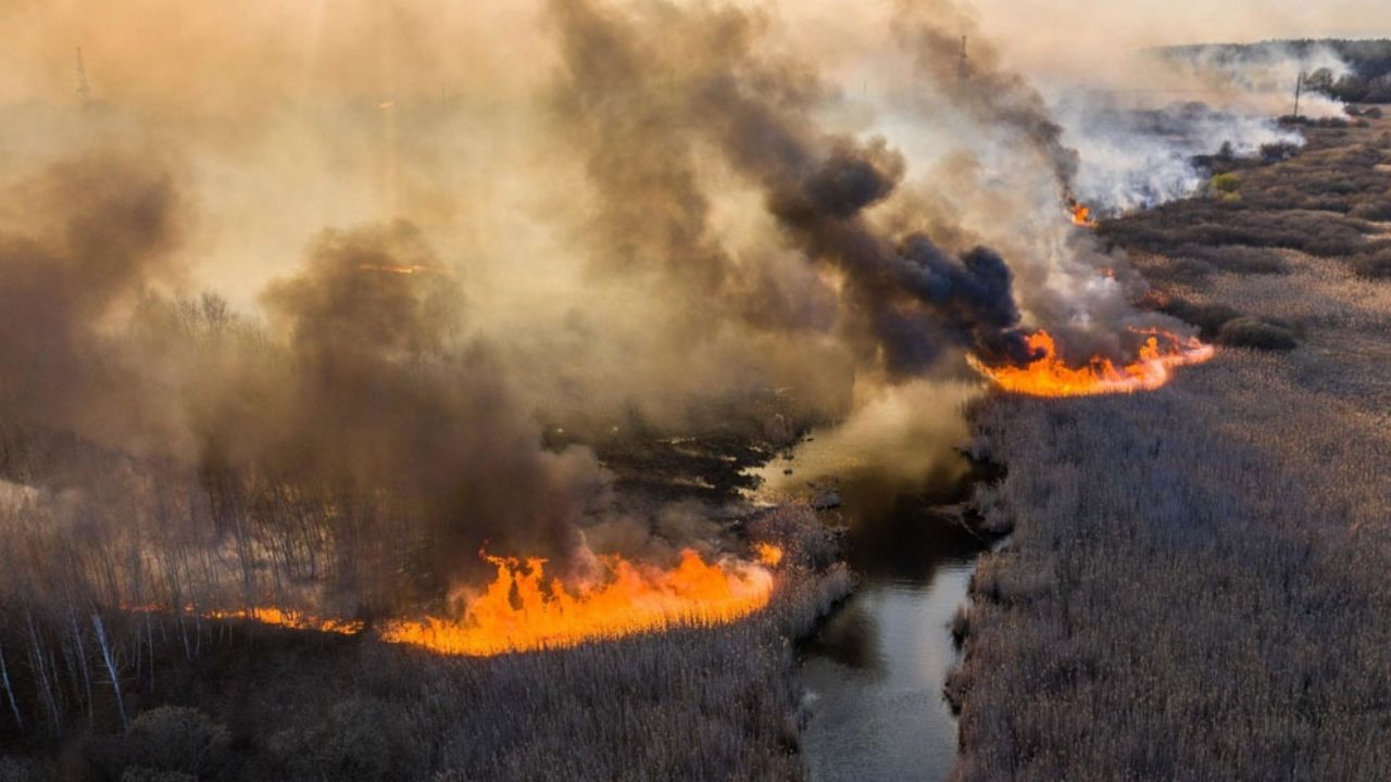 Alerta: Incendio en Chernóbil pondría en riesgo a depósitos de residuos radiactivos