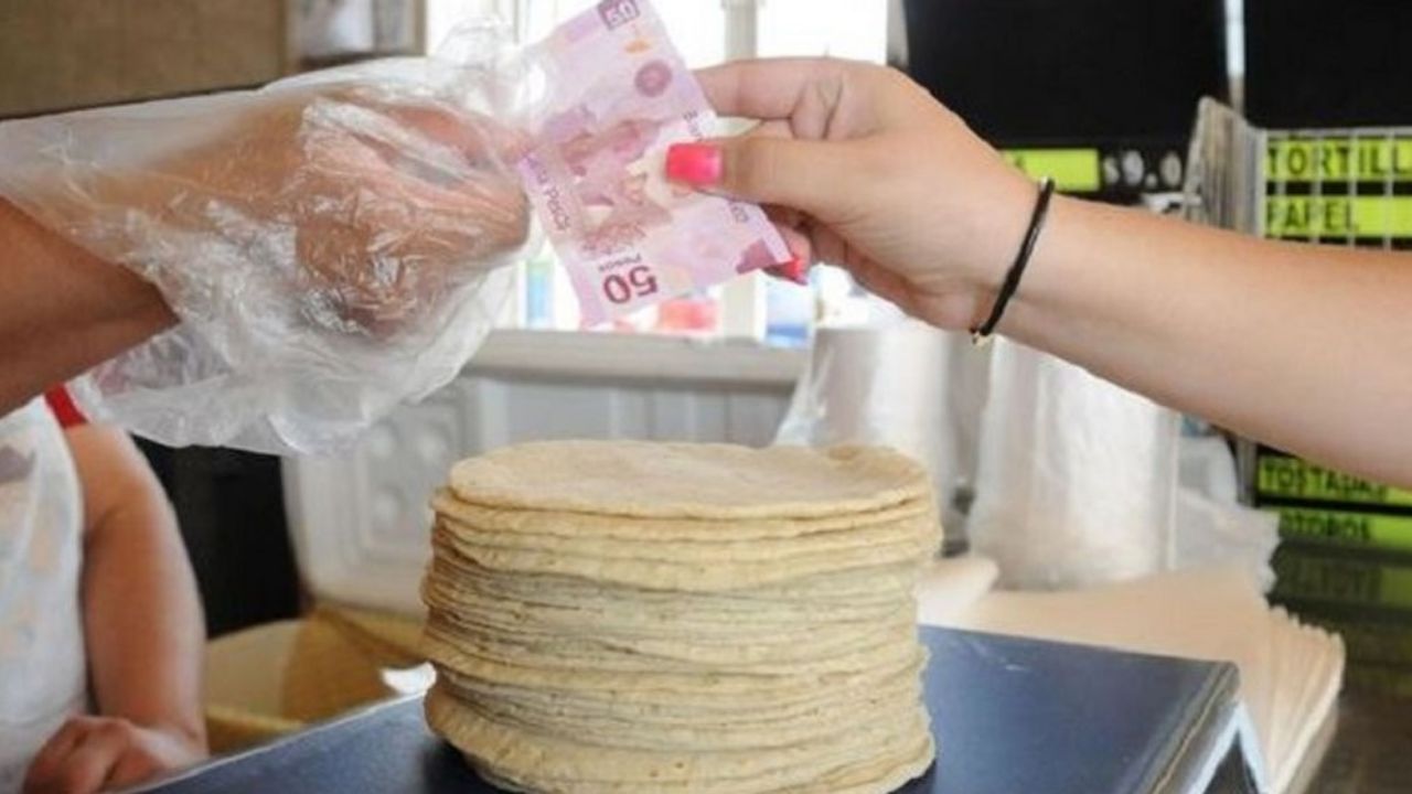 Profeco desmiente que precio del maíz haya aumentado en México