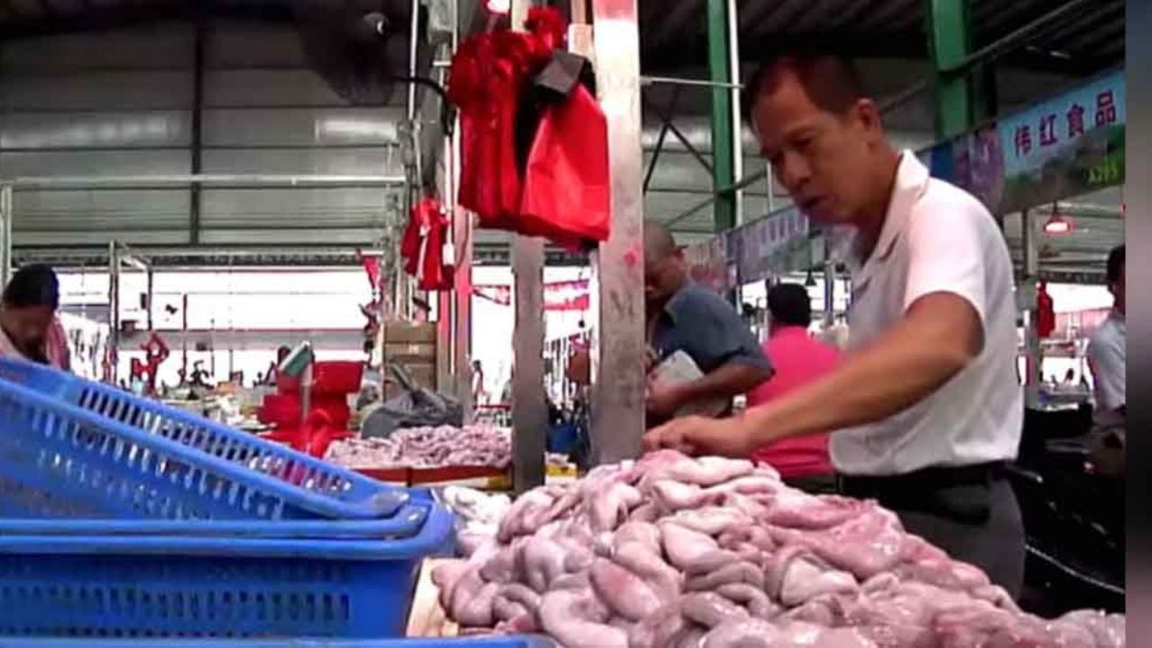 Mercados de mariscos en Wuhan reabren sus puertas tras coronavirus