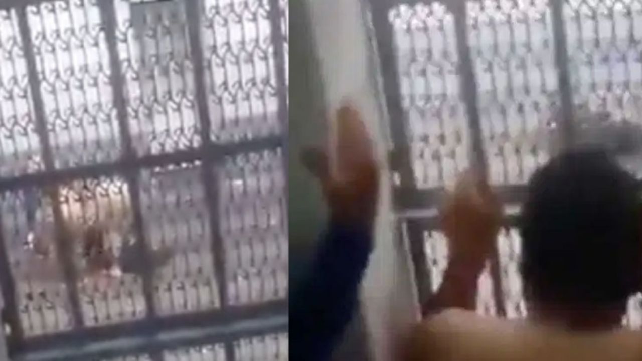 VIDEO: Reos graban pelea de sus compañeros en cárcel del Edomex