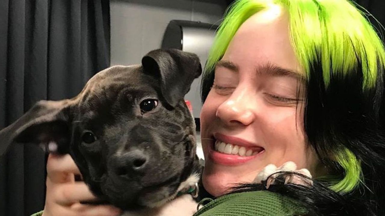 “¡Ahora es mío!”: Billie Eilish adopta perrito al que nadie quiso darle hogar