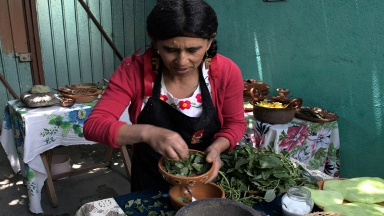 ¡Increíble! Científicos descubren que el quelite ayuda a la lucha de la gastritis