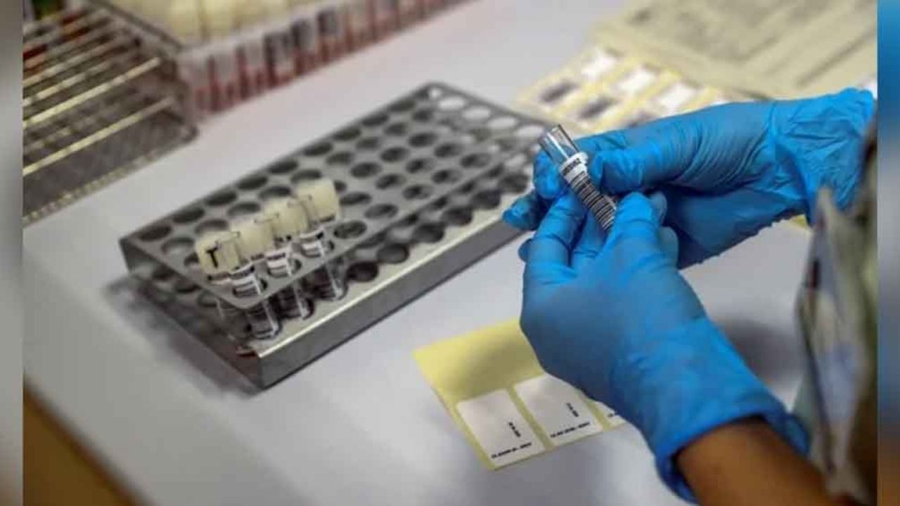 La luz solar podría destruir al nuevo coronavirus, según informe de EU