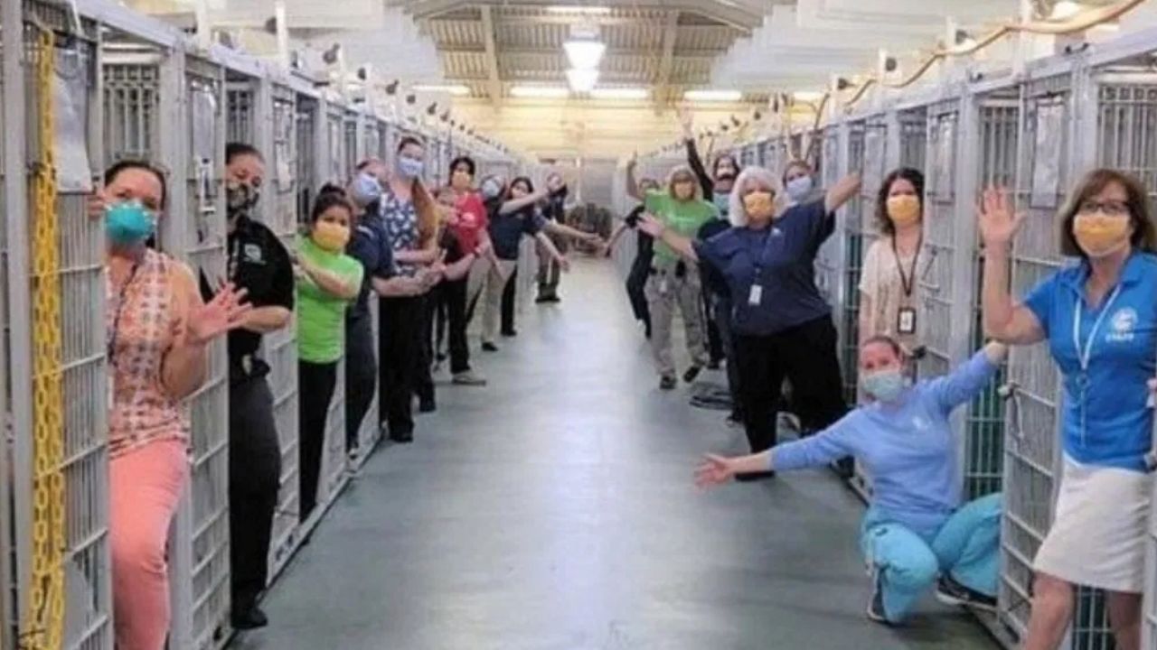 Empleados de un refugio festejan la adopción de todos los animales del lugar