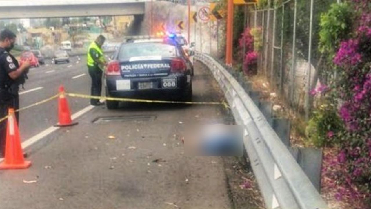 “Rata fulminada”: Vengador anónimo enfrenta a ladrón de transporte público