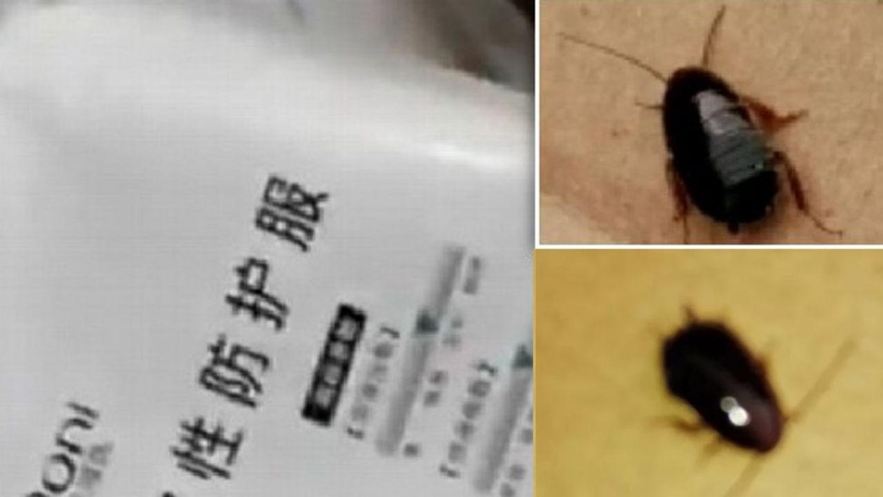Revelan que material enviado por China para combatir Covid-19 tenía cucarachas