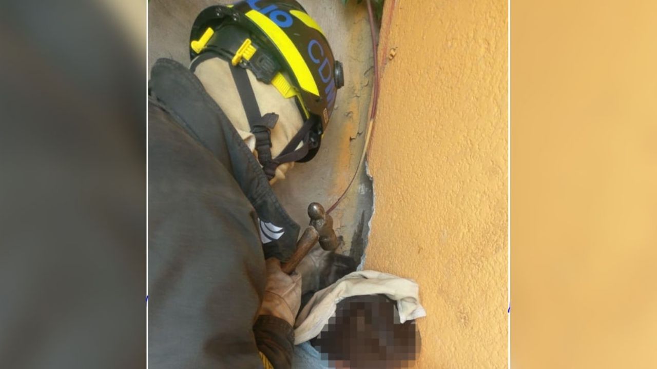 Niño intenta rescatar a su gato y queda atrapado entre paredes en CDMX