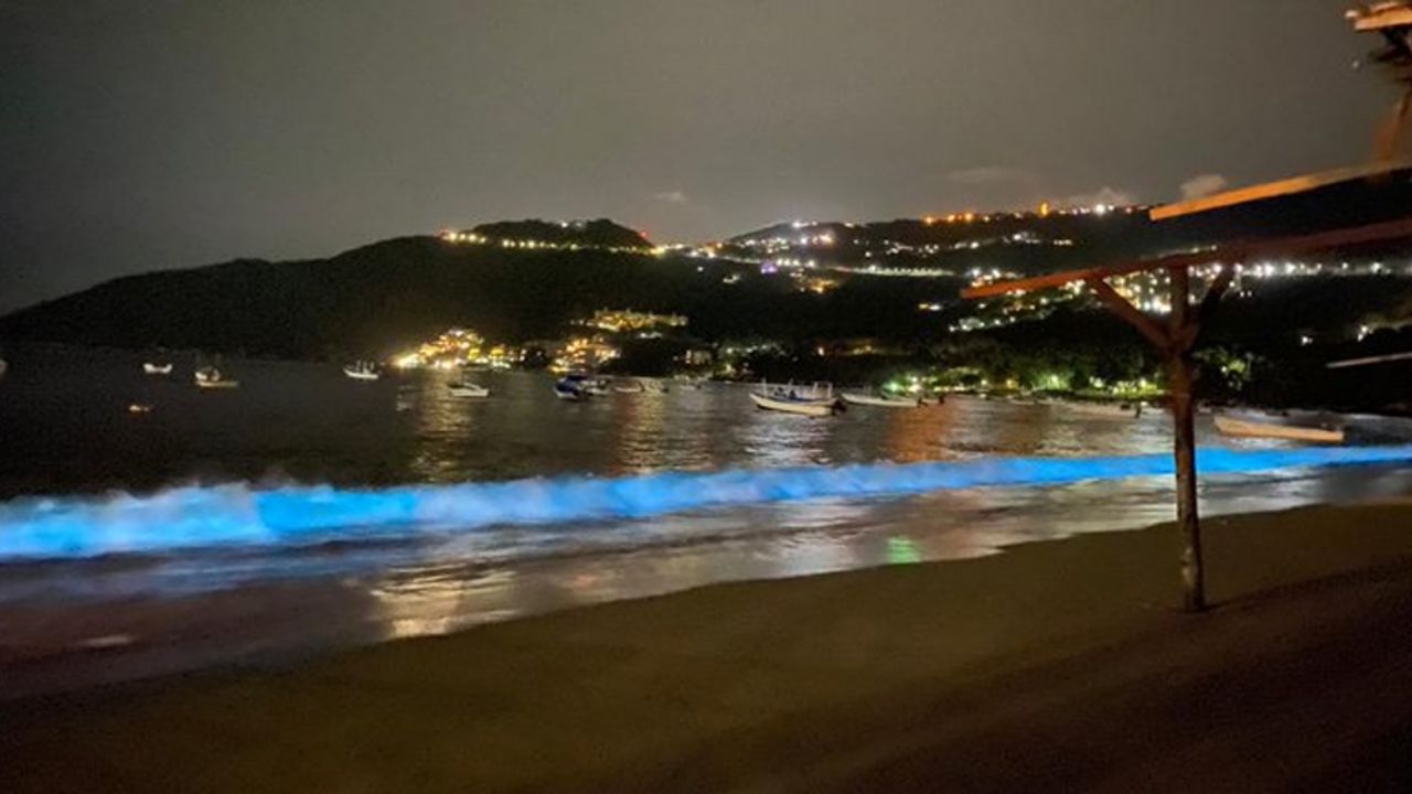 Usuarios captan en el puerto Marqués bioluminiscencia, hermoso fenómeno natural