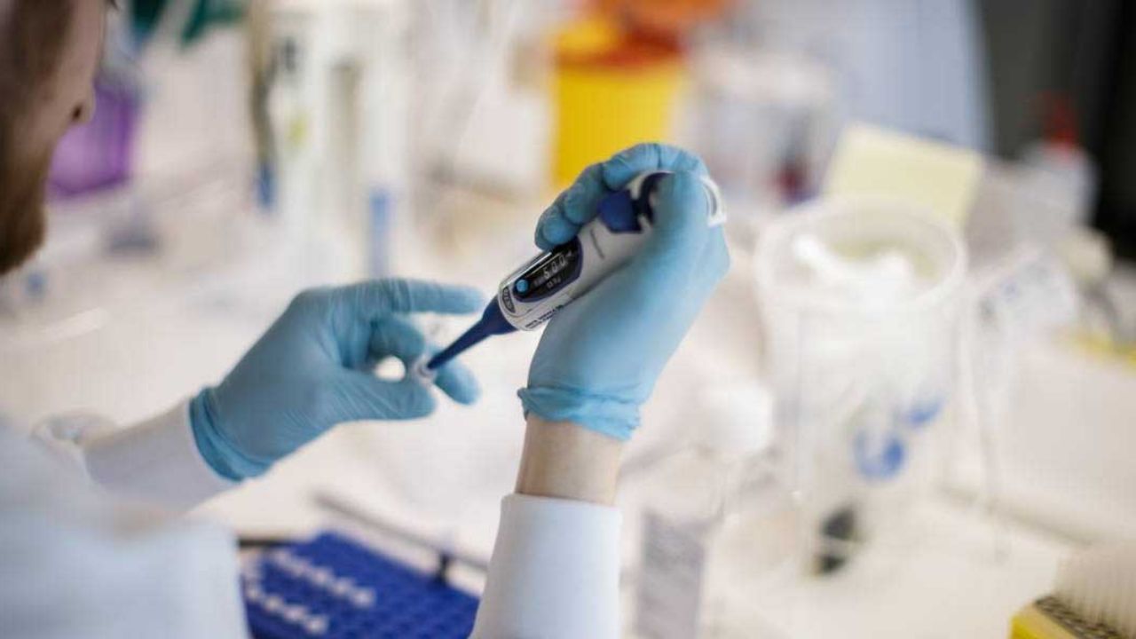 Alemania comenzará pruebas en humanos para obtener vacuna contra Covid-19