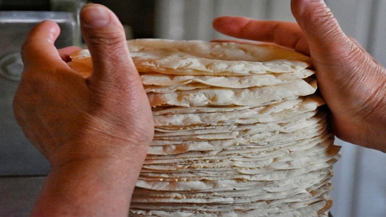 Conoce la nueva alternativa para combatir la obesidad, las tortillas de cebada