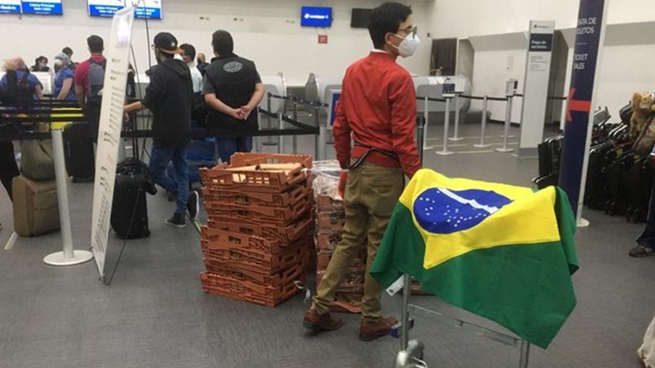 ¡Increíble! SRE logra la repatriación mutua de 244 brasileños y mexicanos