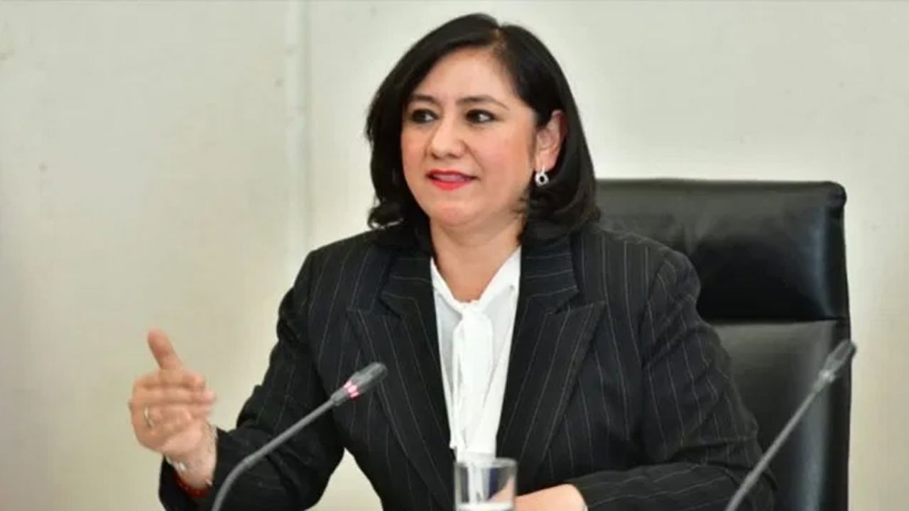 SFP anuncia que la titular de la dependencia, Irma Eréndira Sandoval tiene Covid-19