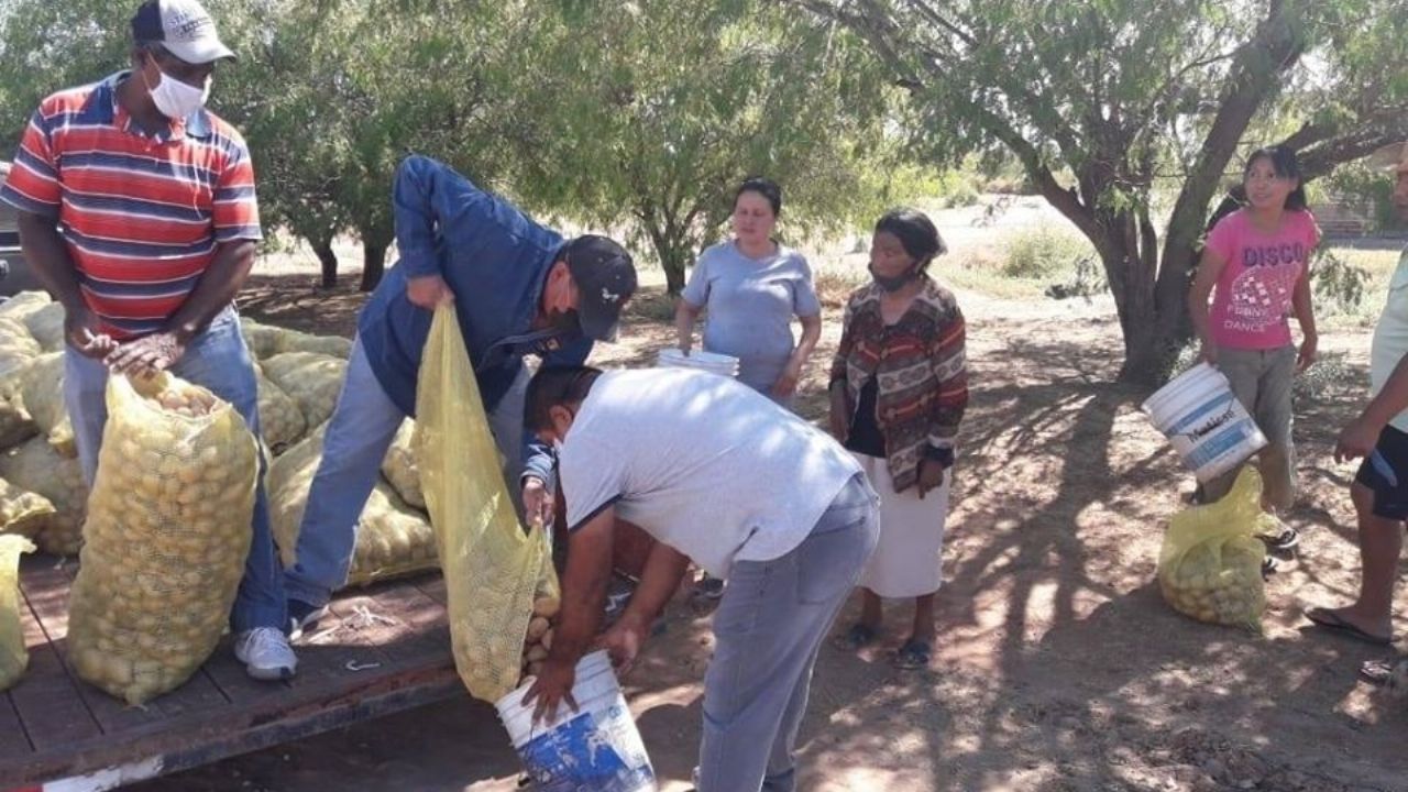 Agricultores de Huatabampo regalan papas a las personas de bajos recursos