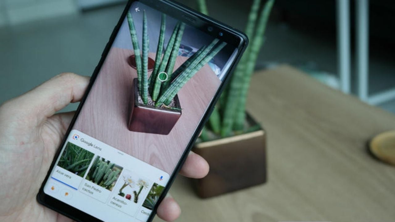 Google Lens: ¿Qué es, para qué sirve, cómo usarlo y cómo sacarle el máximo potencial?