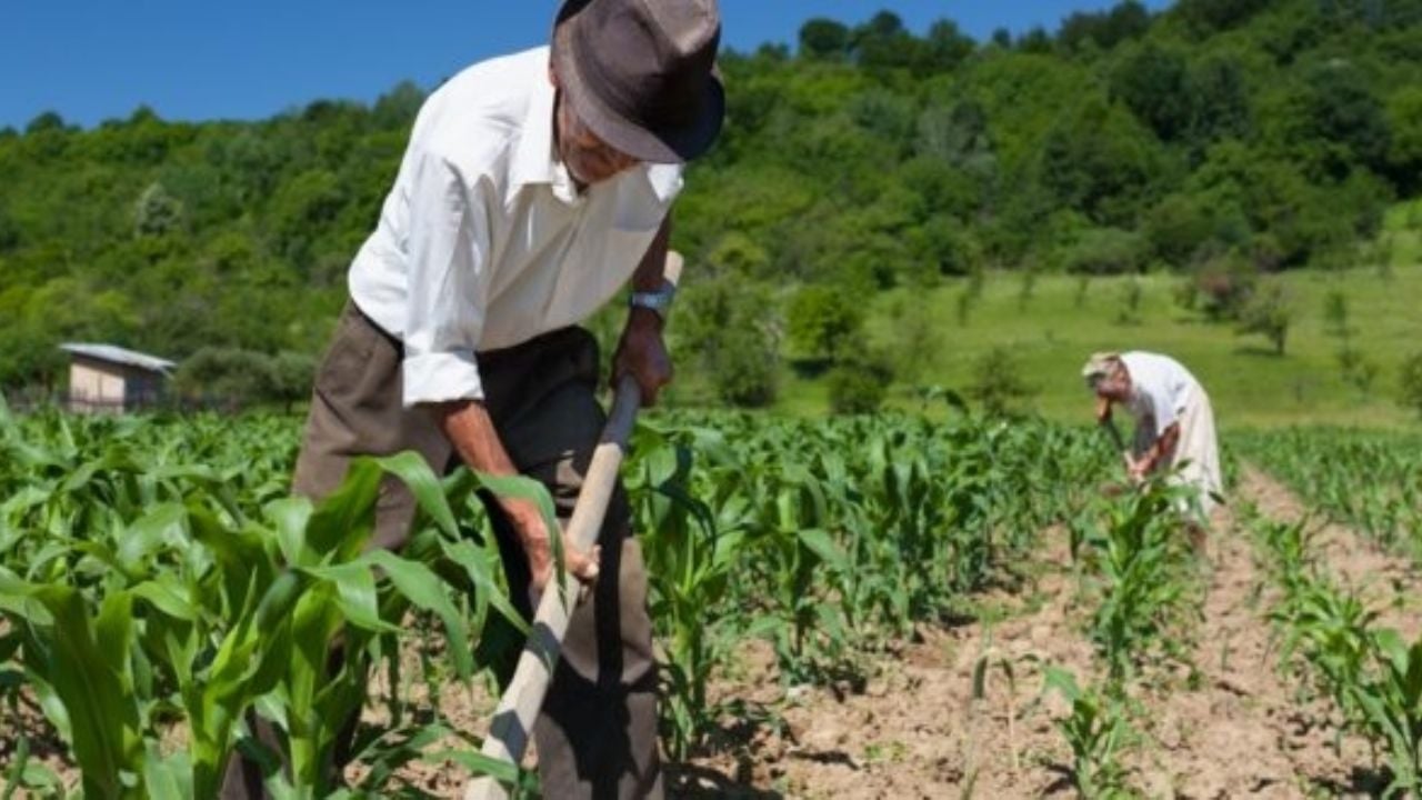El PRI busca garantizar la supervivencia del sector agrícola de México