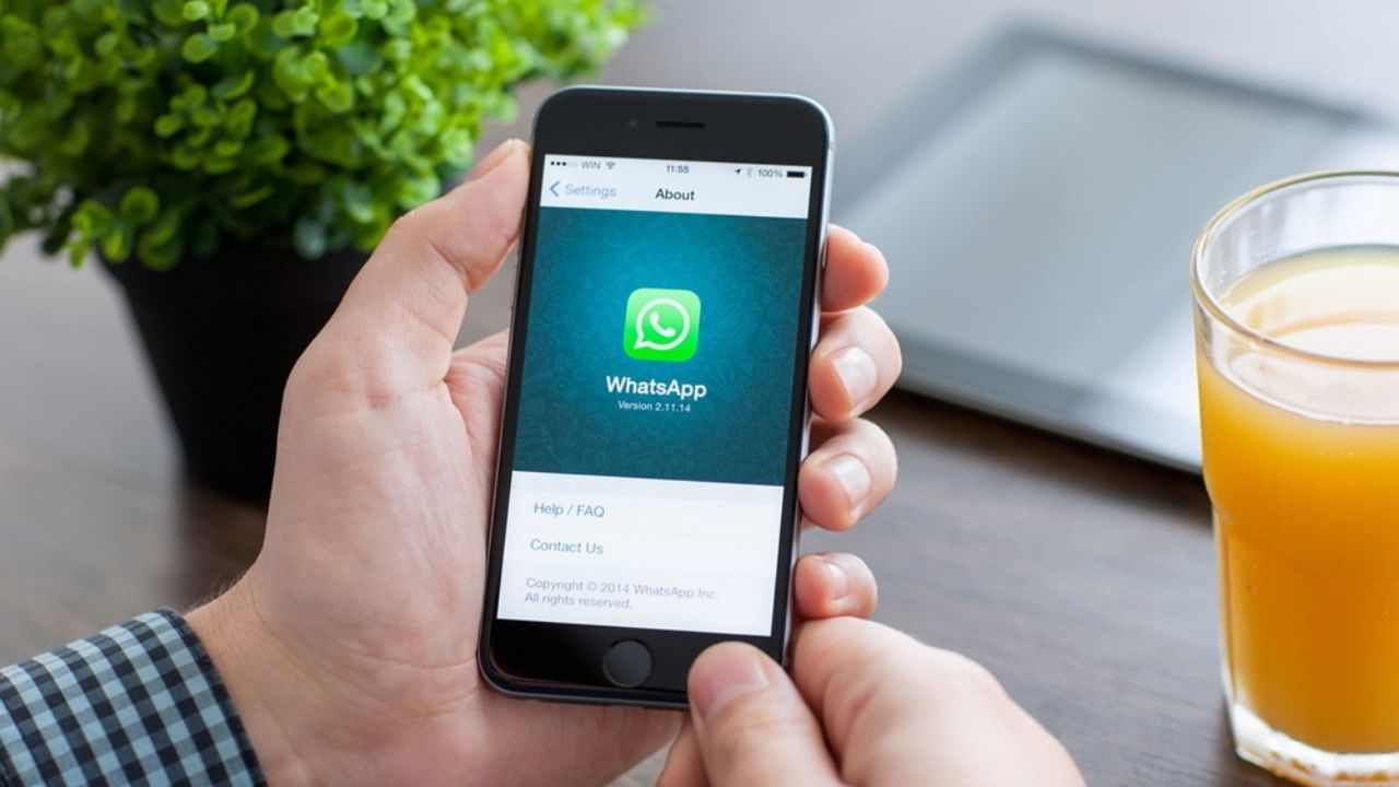 Nuevo Truco: ¿Cómo cambiar el color de las letras en los mensajes de WhatsApp?