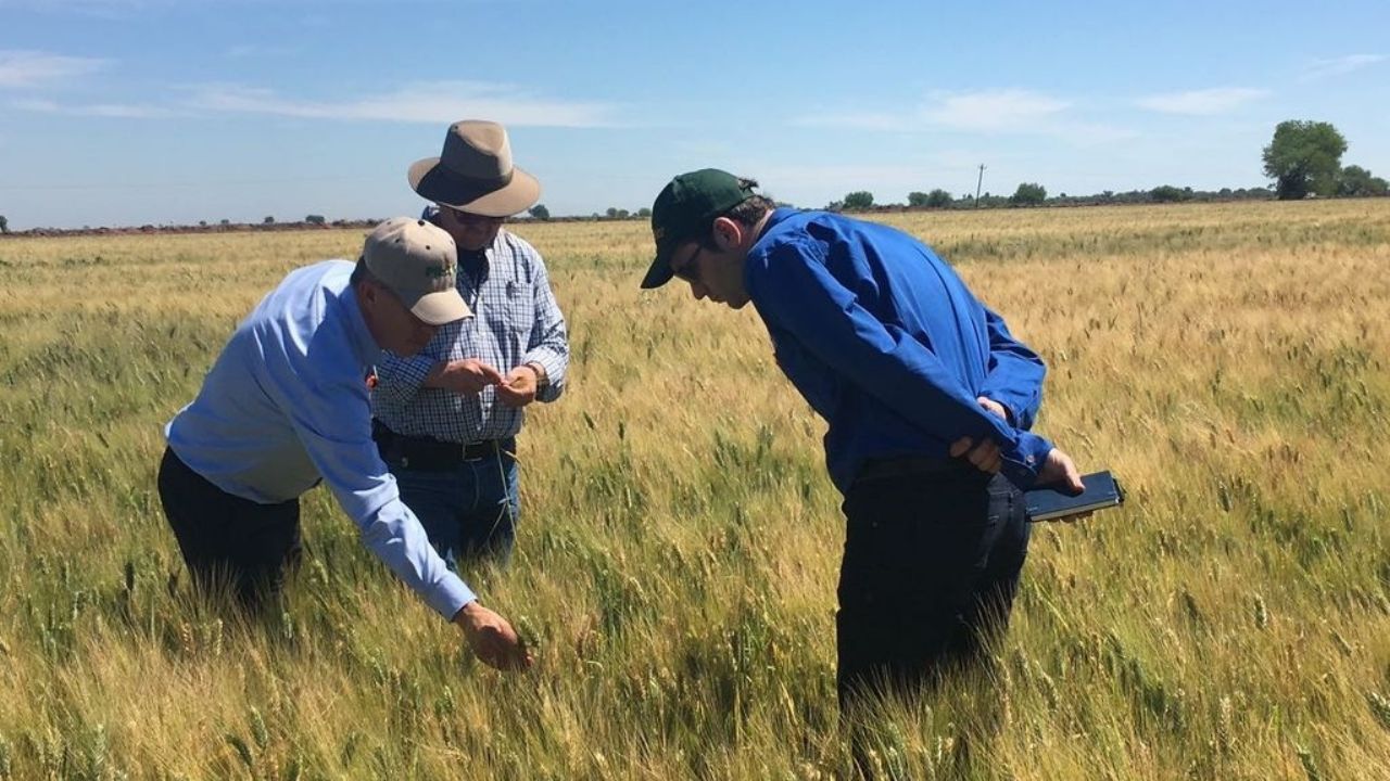 Falta de pagos pone contra las ‘cuerdas’ a los productores de Sonora