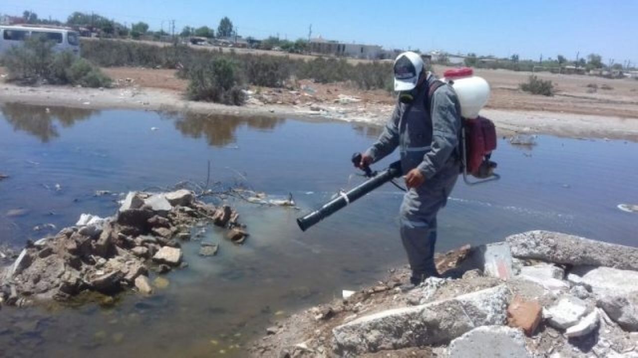 Dirección de Salud de Huatabampo trabaja también contra el dengue y el zika
