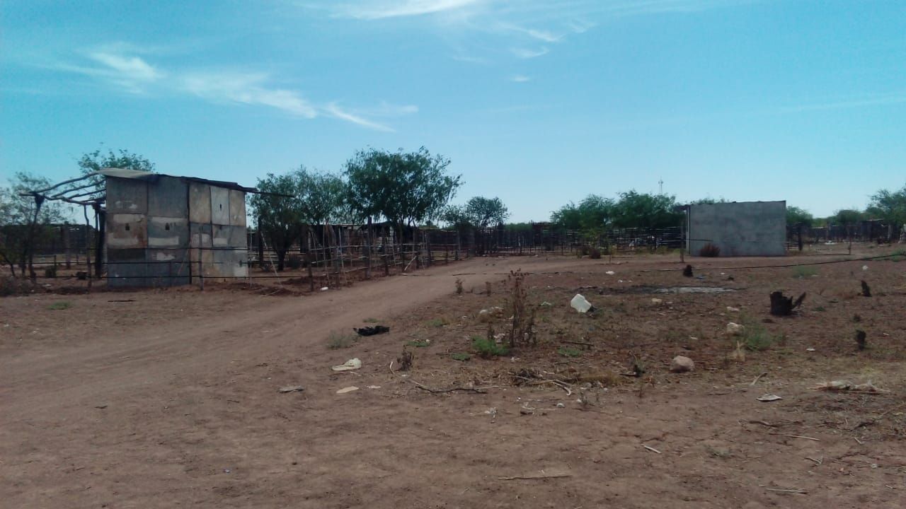 Familias de Huatabampo trendrán solares después de cuatro años de espera